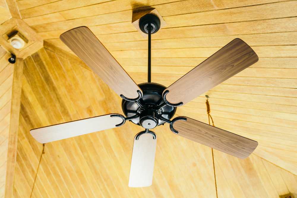 The Fan Fascination: Why Babies Like Ceiling Fans